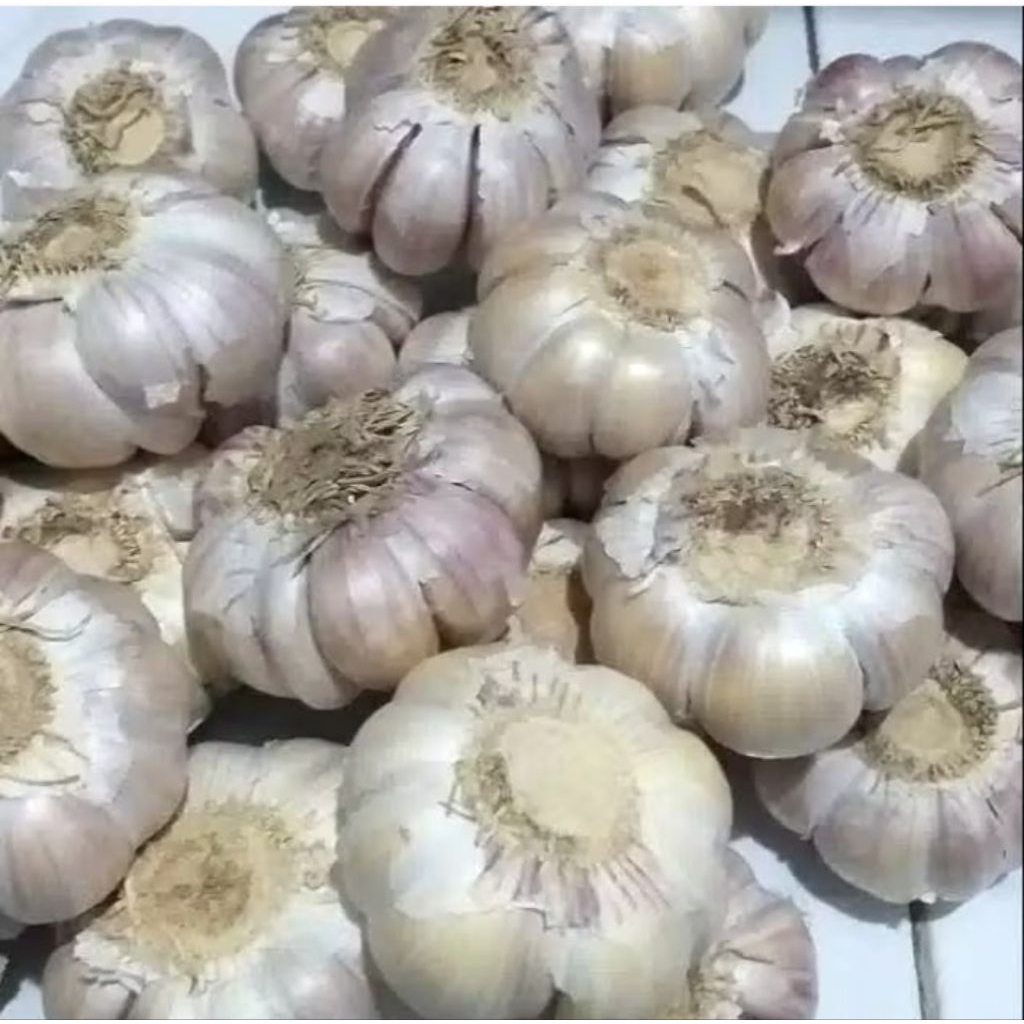 

Bawang Putih Bersih