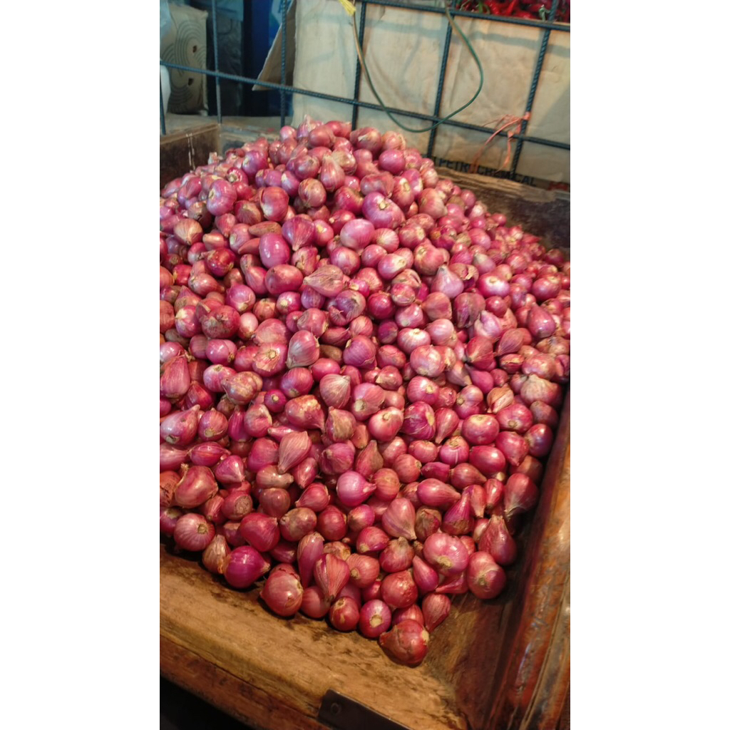

Bawang Merah Toba