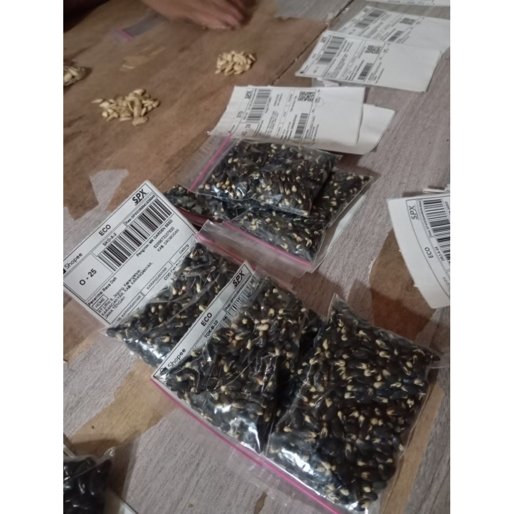 

BENIH BIJI KACANG SAYUR JALITENG SUPER LEBAT 500 BIJI