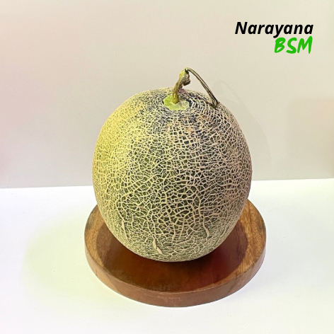 

Buah Rock Melon Segar Harga Per Buah