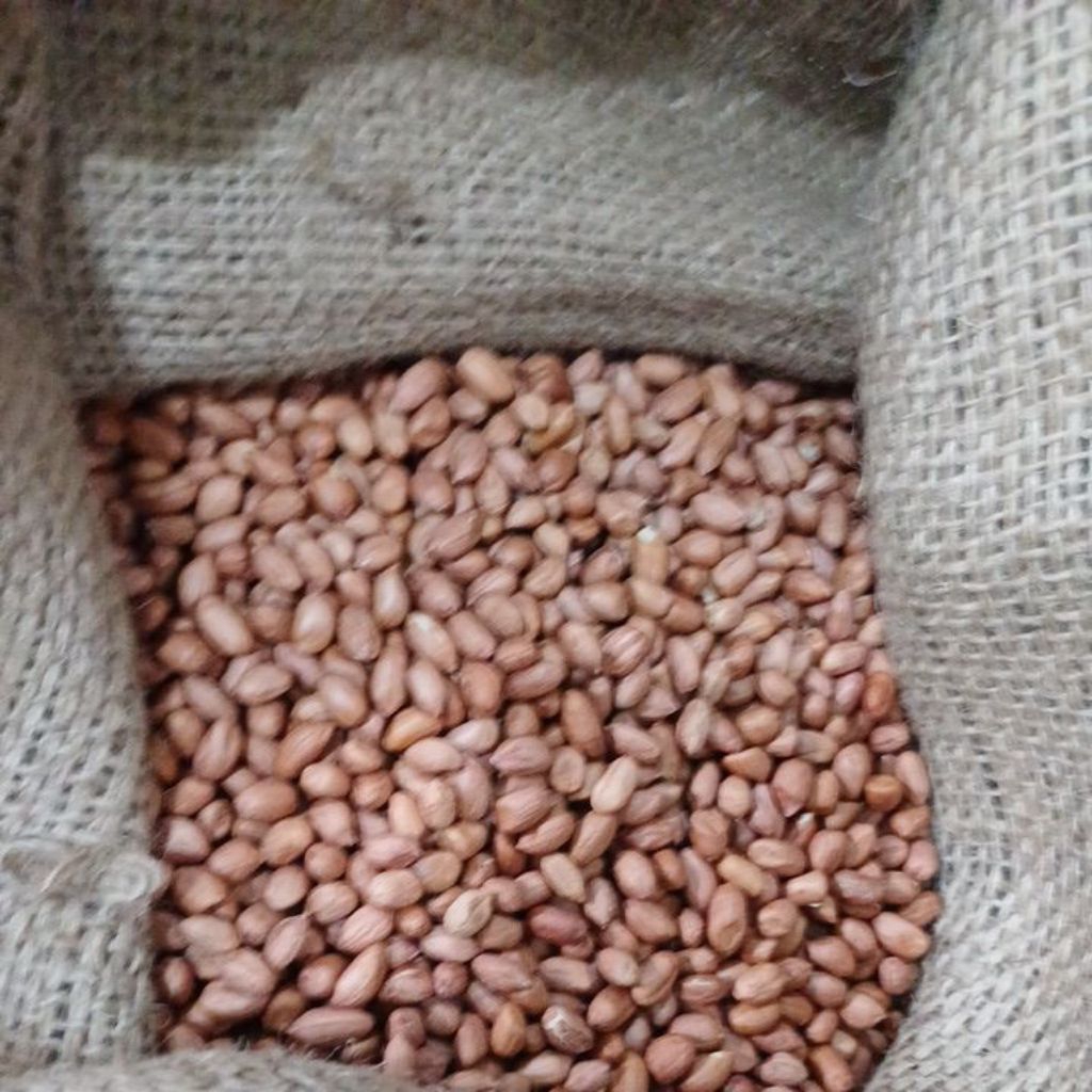

Kacang Tanah Mentah 1 Kg