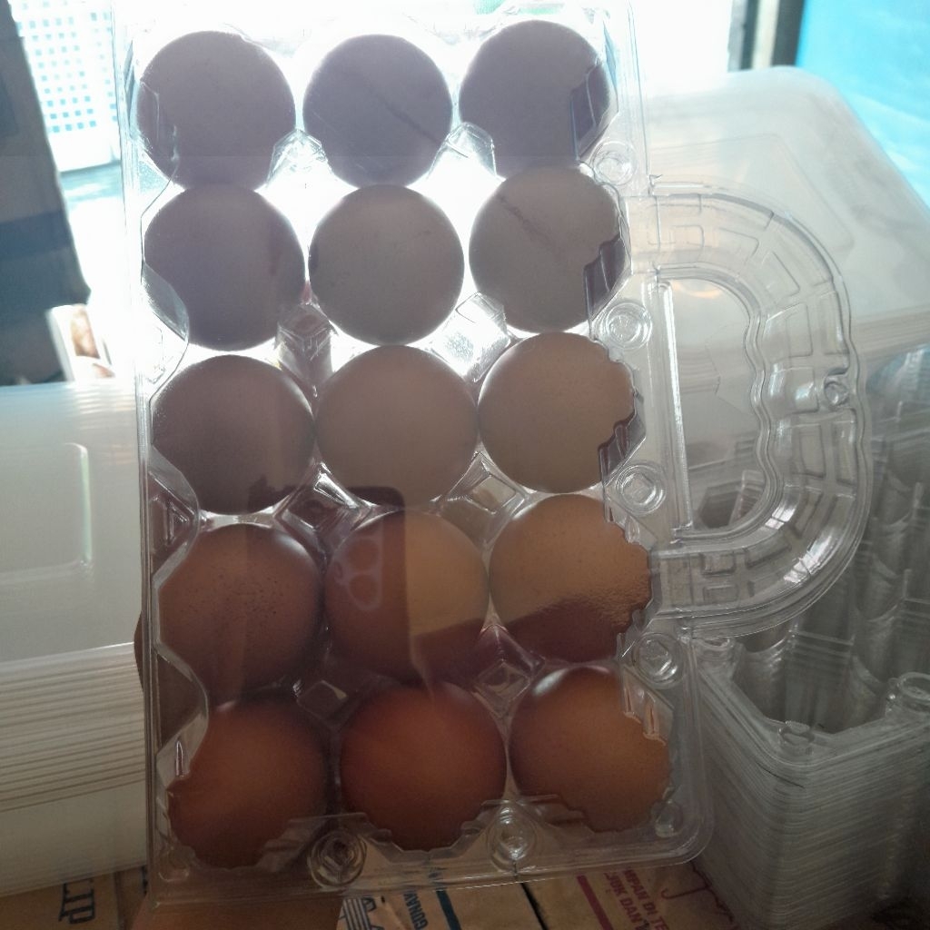 

telur ayam kecil isi 15 butir