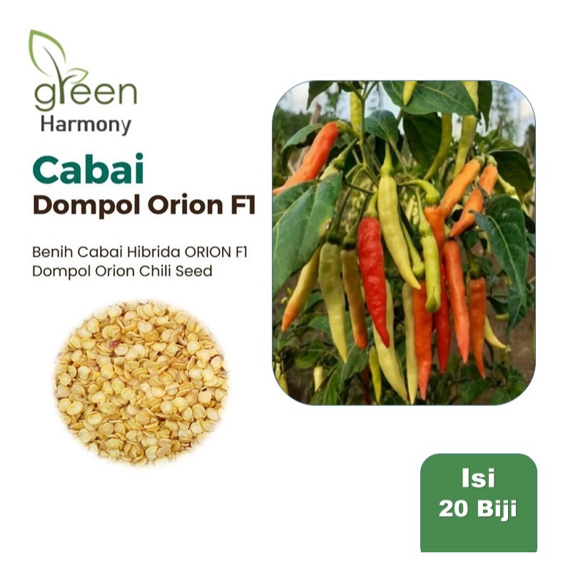 Benih Cabe Rawit Dompol