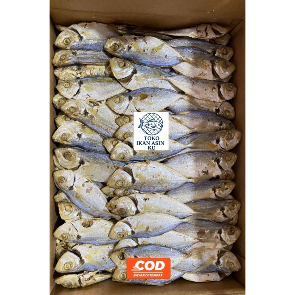 

Ikan Asin Selar 250gr. Ikan Asin Fresh
