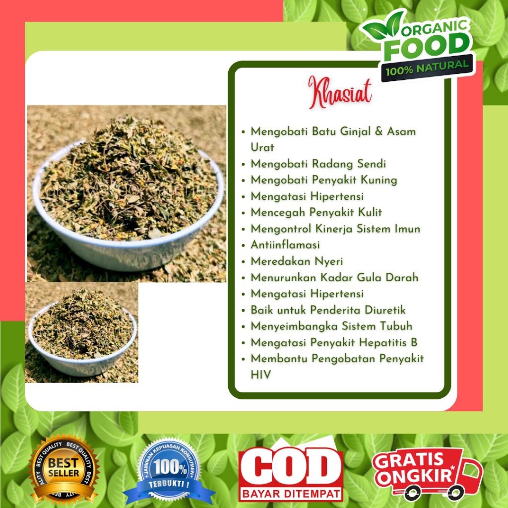 

Serbuk Simplisia Daun Meniran untuk Sistem Imun