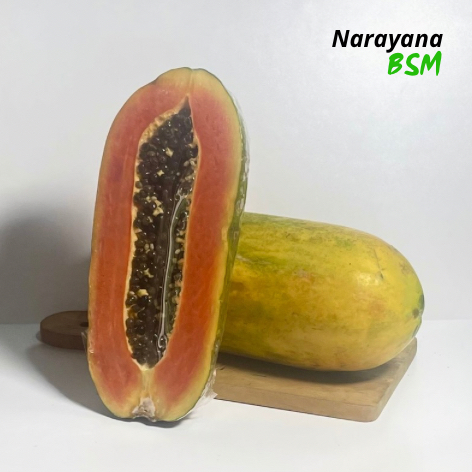 

Buah Pepaya California Super Quality Harga Per Buah