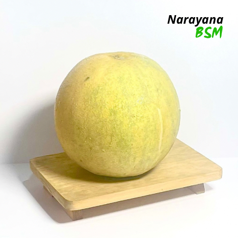 

Buah Melon Madu Segar Per Buah