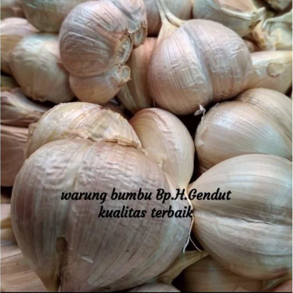

BAWANG KATING 1KG FRESH