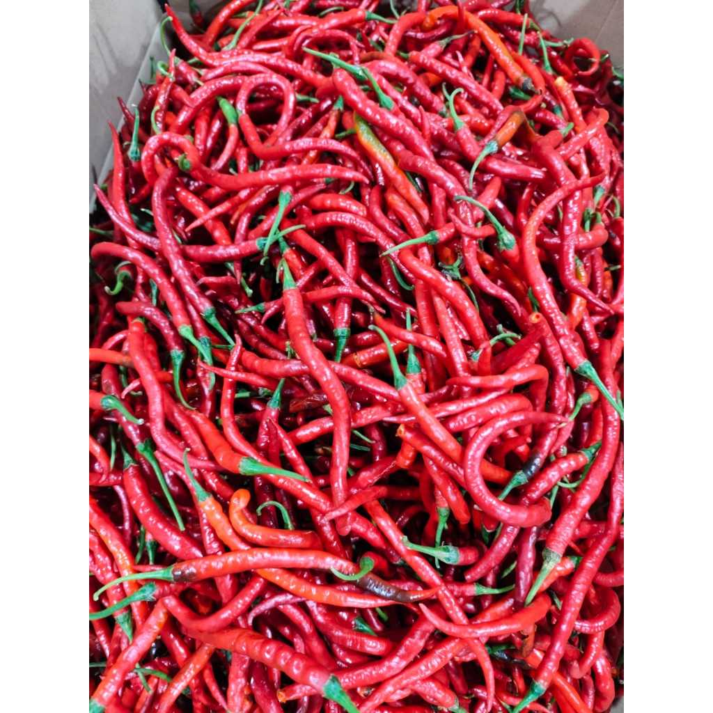 

cabai merah keriting fress 500 gr, 1000 gr