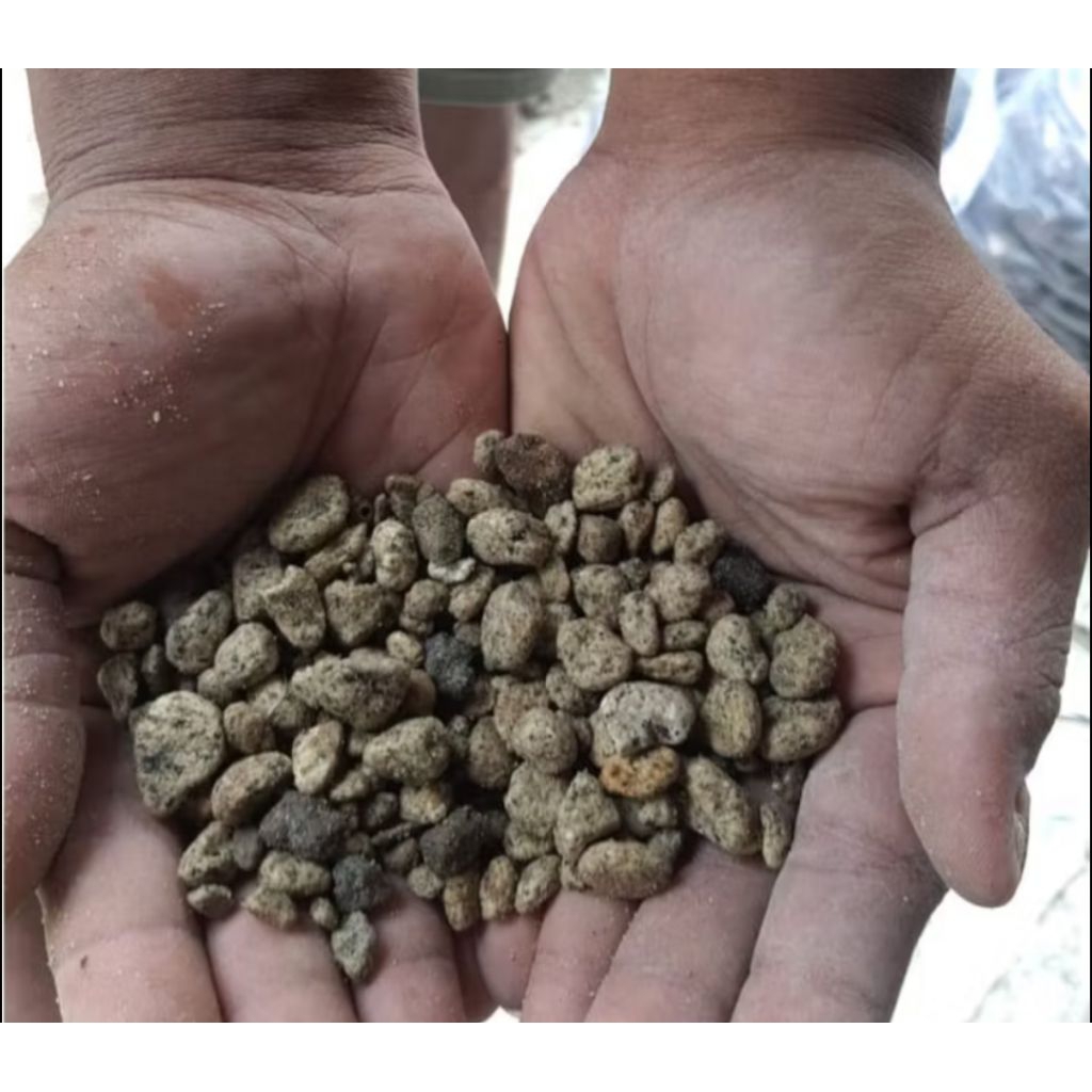 Batu pumice / apung ukuran kecil 500gram - media filter aquarium aquascape media tanam