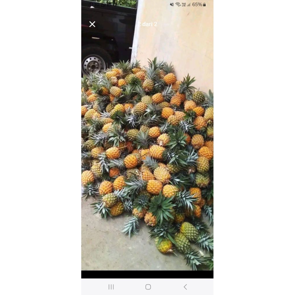 

nanas madu grade C pegon