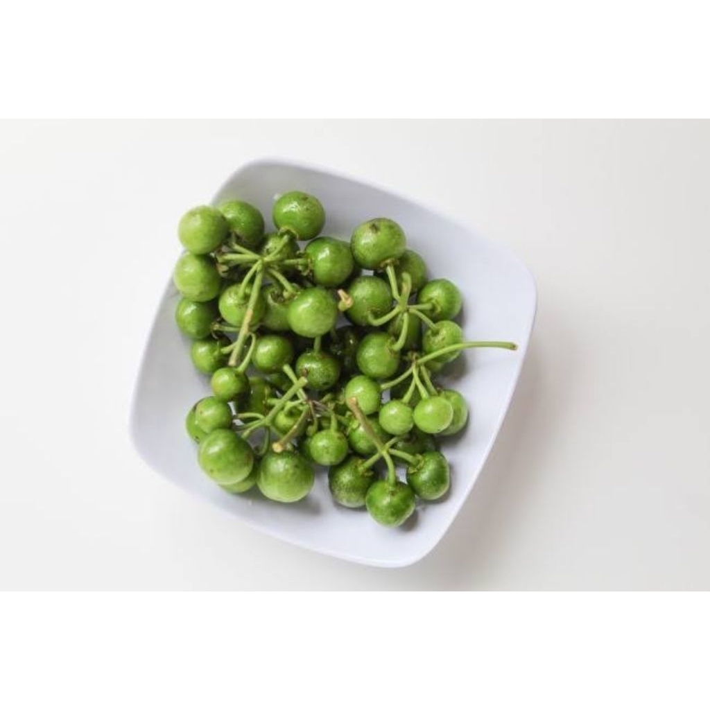 

leunca/lencah sayur-Fresh 500 gram