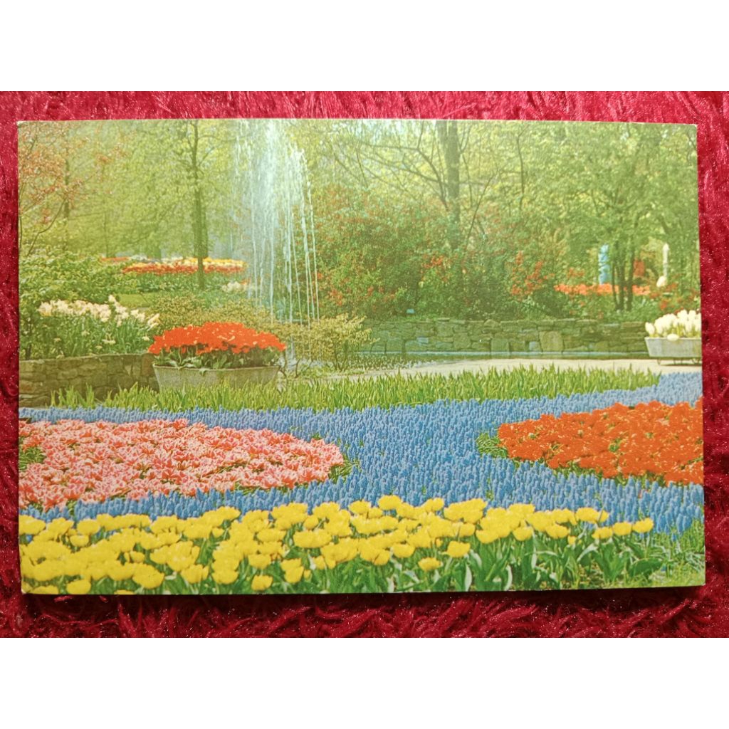 

Post card Belanda Keukenhof LISSE HOLLAND UN USED