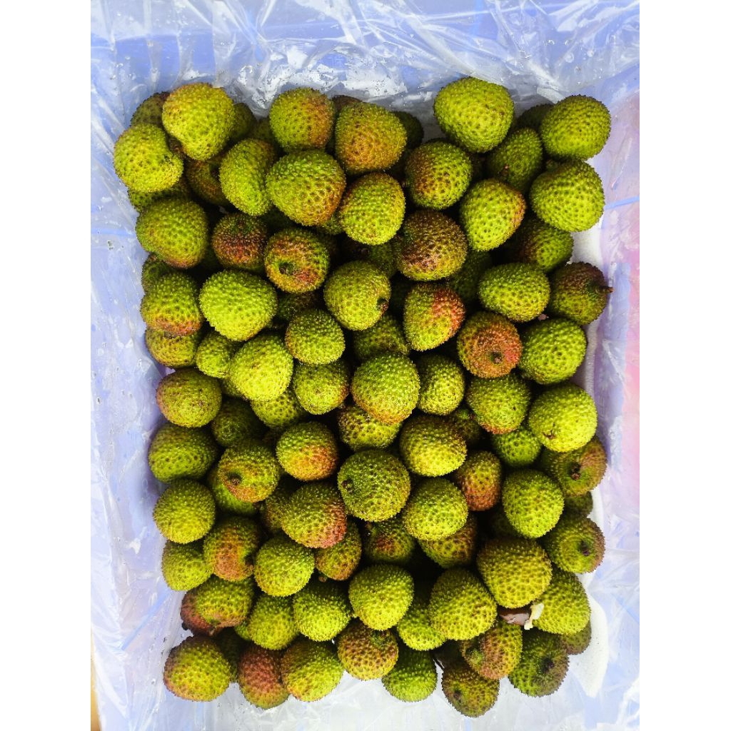 [PROMO] Leci Madu Manis & Segar – Buah Premium 1kg