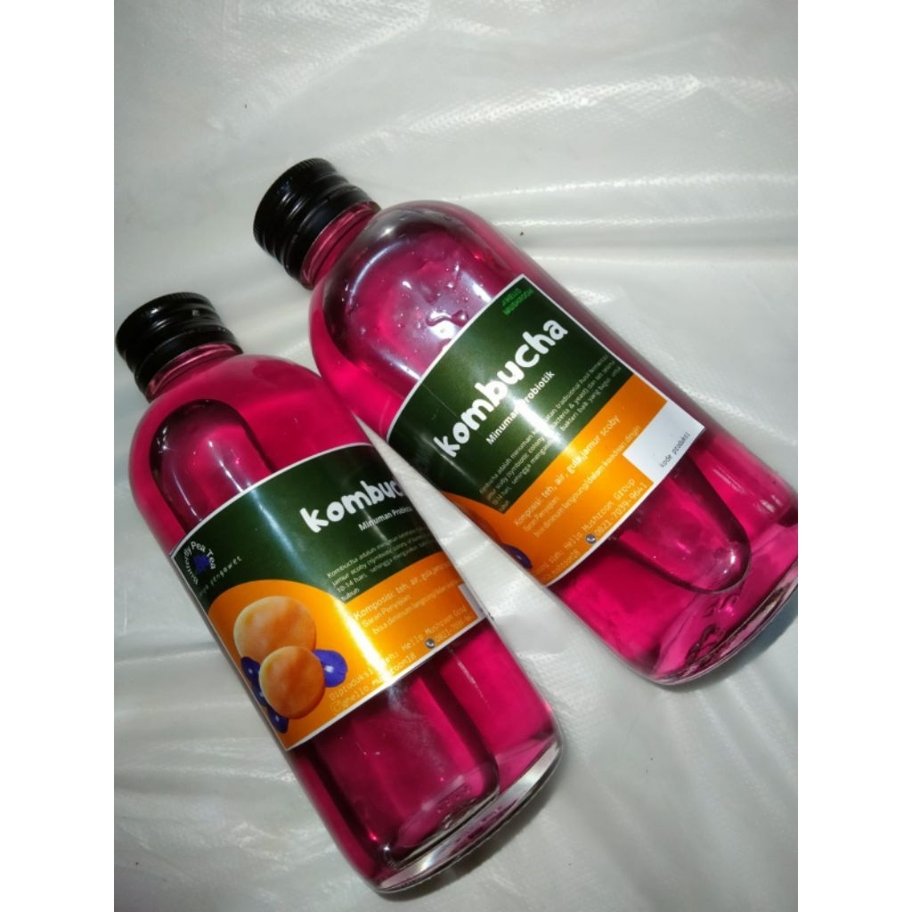 

Kombucha Bunga Telang