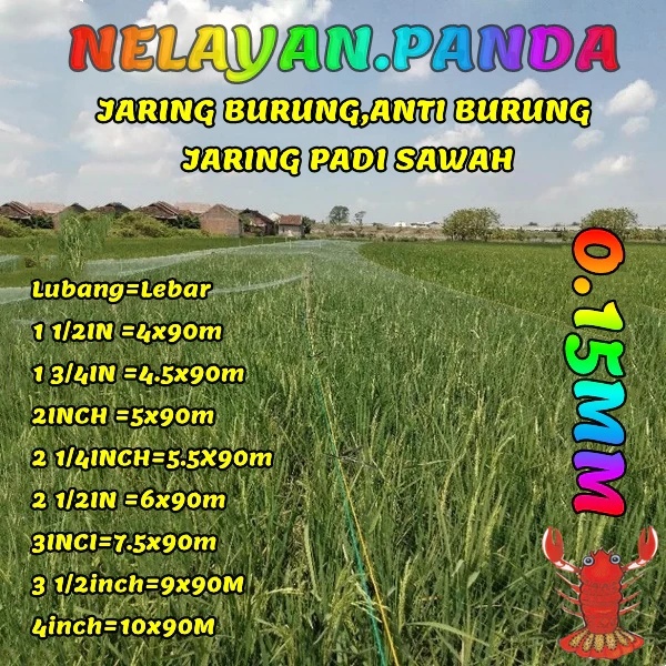 Jaring burung sawah panjang 100yds jaring burung pipit jaring burung emprit jaring padi 0.15mm panja