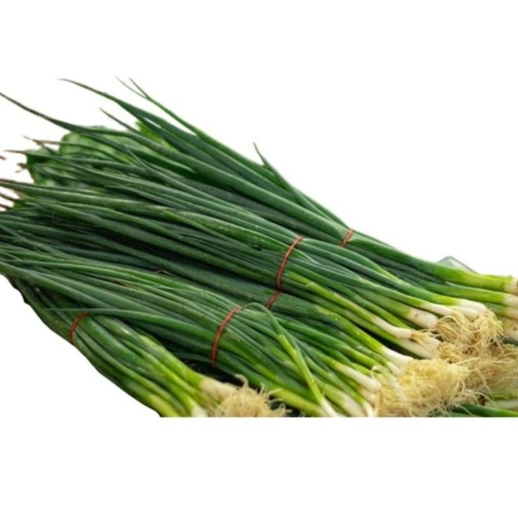 

DAUN BAWANG CUNG/WAKEGI/DAUN BAWANG KECIL
