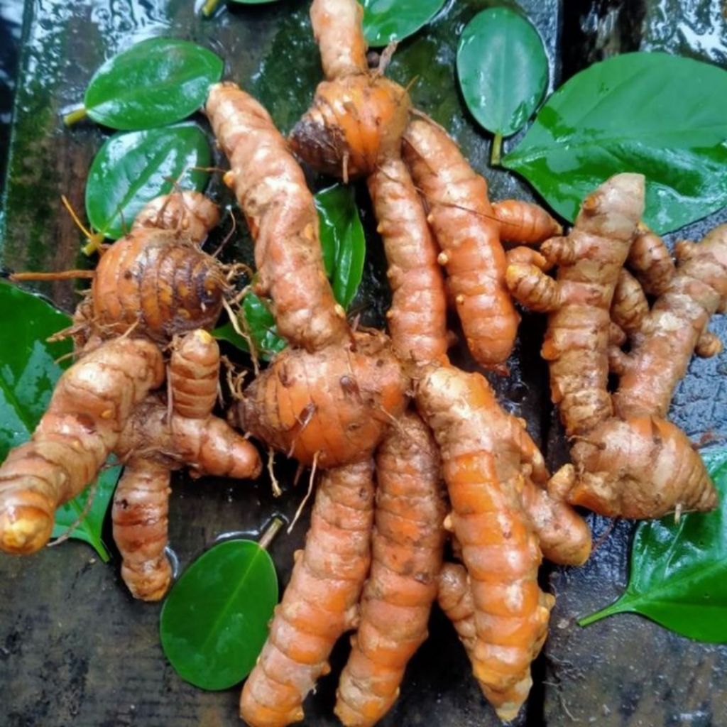 

rempah kunyit/kuning/kunir 1kg asli 100%