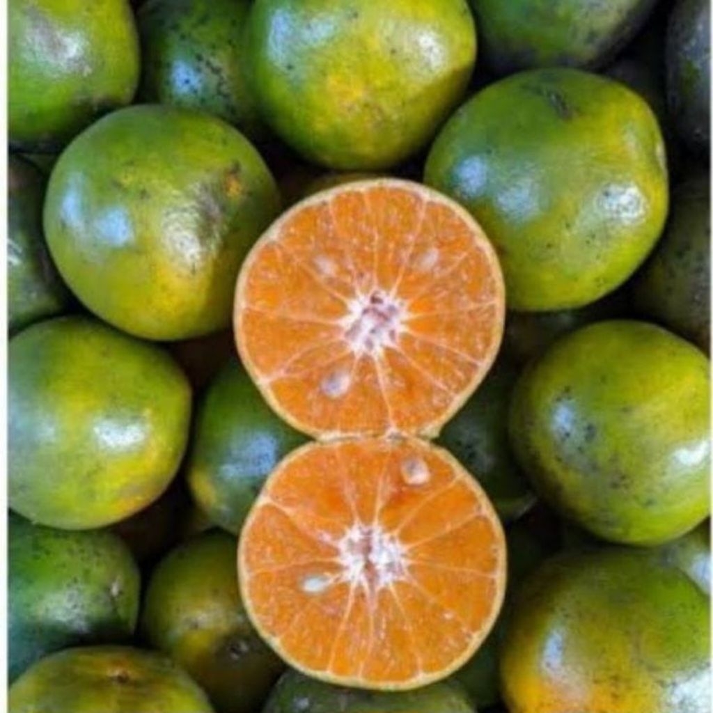 

JERUK PERAS 500 gr