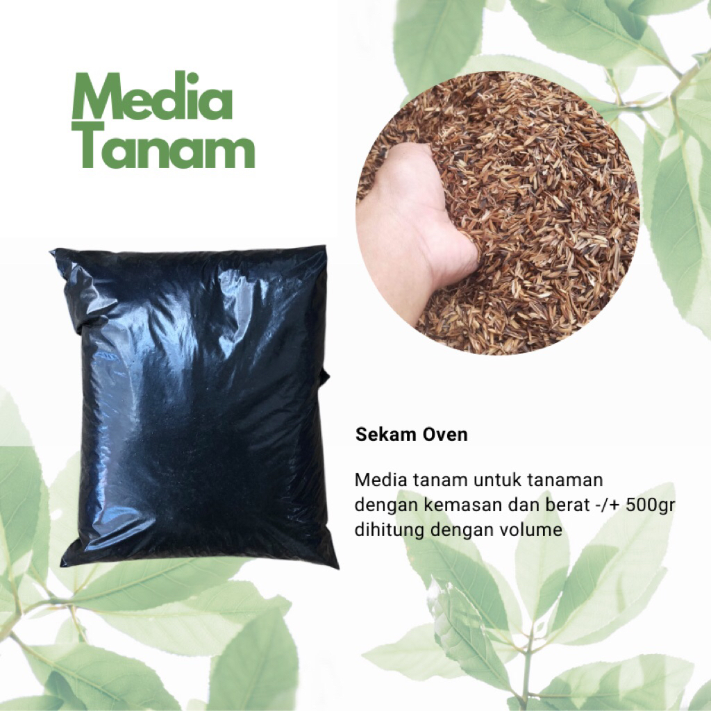 Media tanam sekam oven / sekam sangrai - 500gr