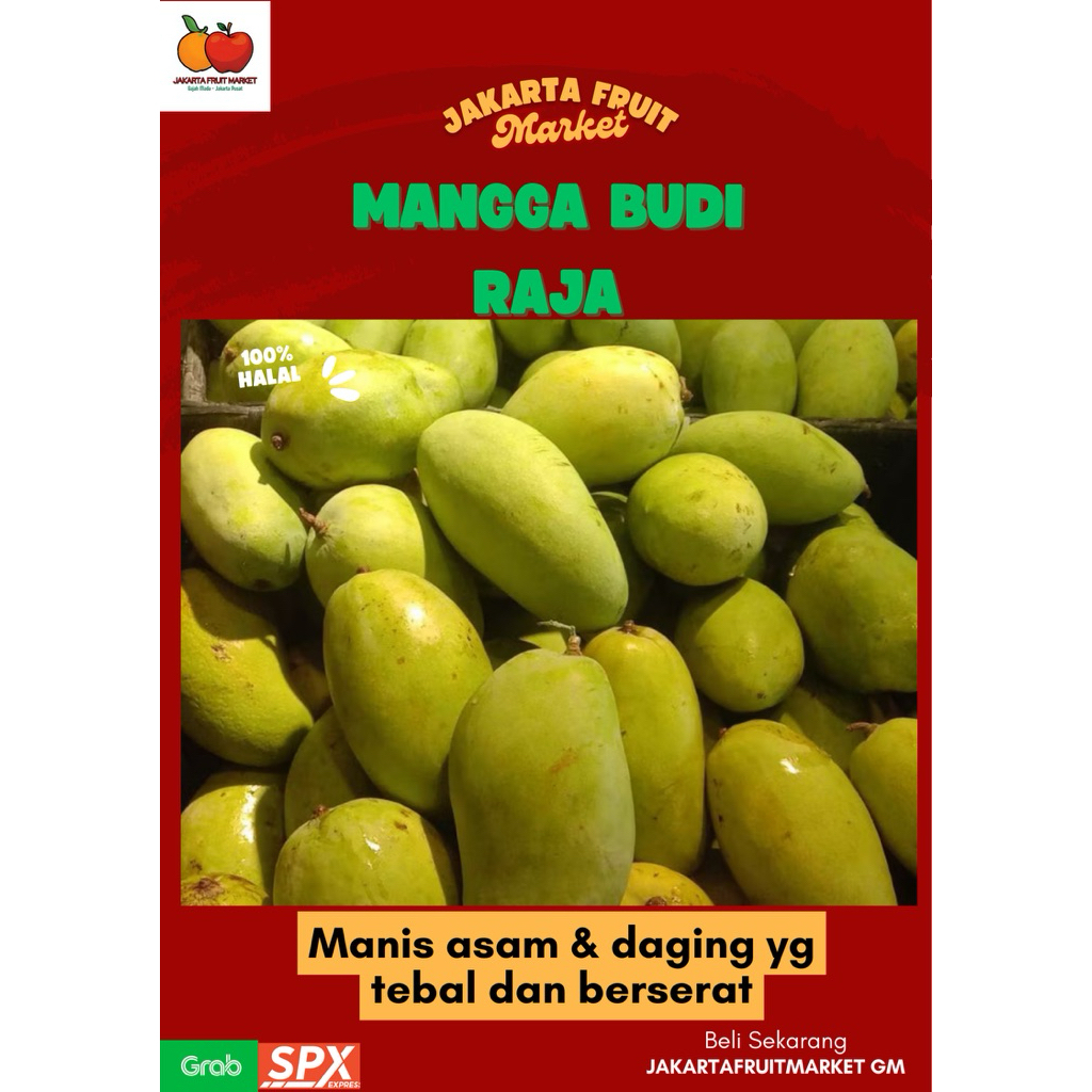 

MANGGA BUDI RAJA 900-1.000gr