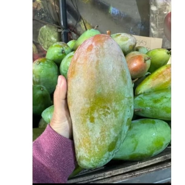 

MANGGA KIOJAY GROSIR GARING KRIUK 3 KG , 5 KG & 10 KG GRATIS BUMBU RUJAK BANGKOK CUS ORDER KASIH MURCE AJA