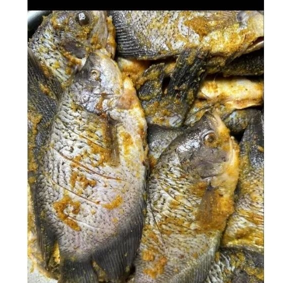 

IKAN GURAME BUMBU KUNING 1 EKOR