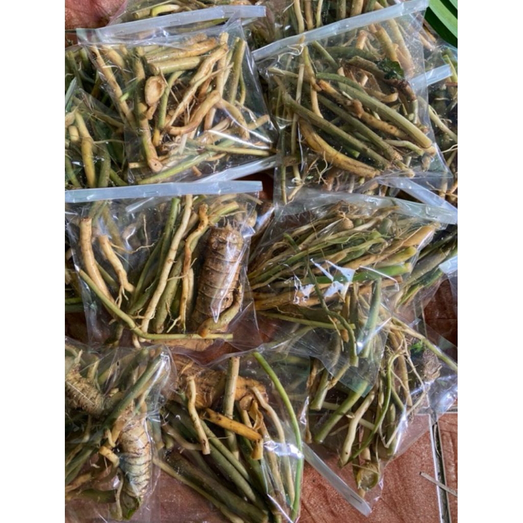 

Akar pohon pandan wangi asli berat 100gr rempah nusantara