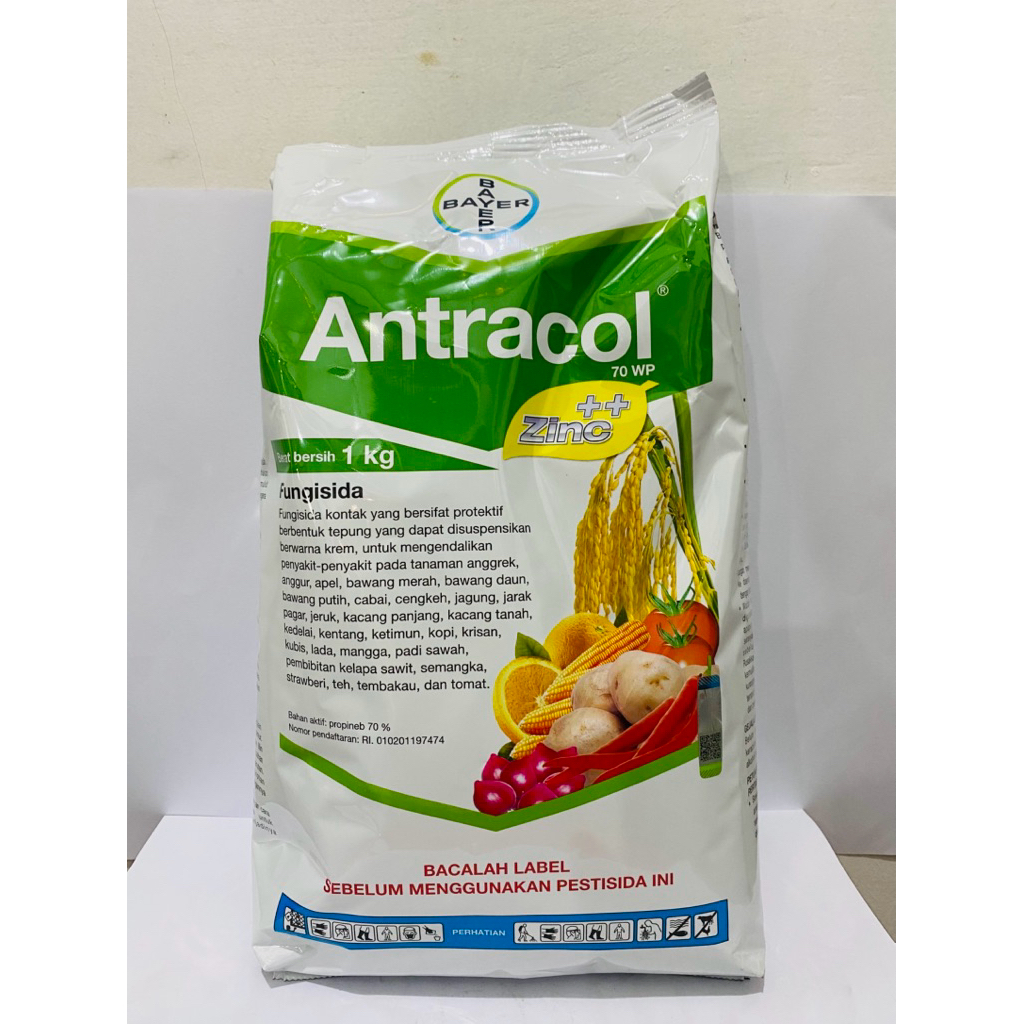 Antracol 1 kg Fungisida