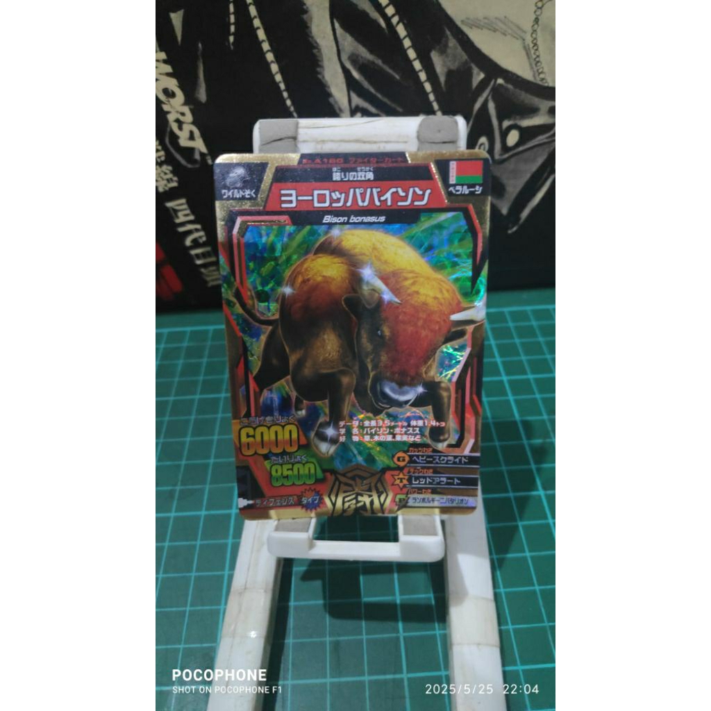 kartu animal kaiser gold european bison japan card