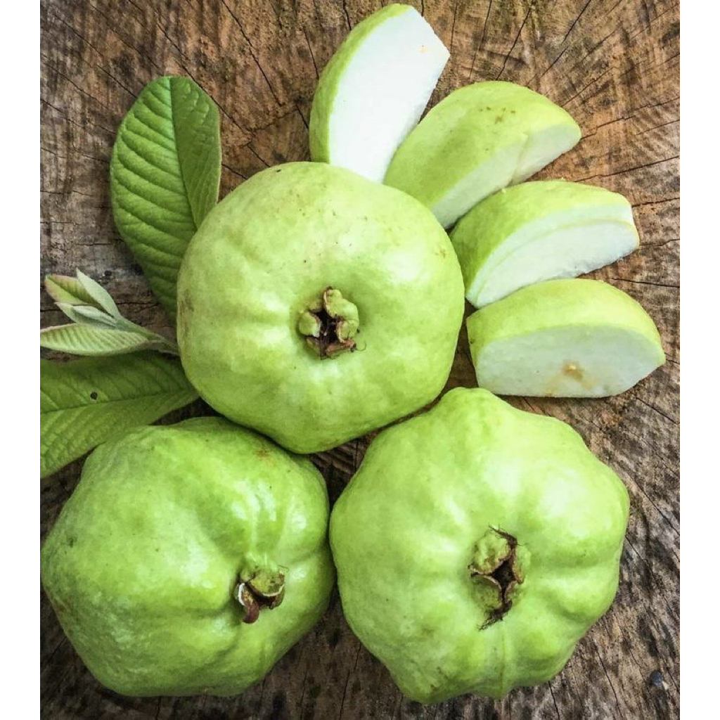 

Jambu kristal - Jambu Tanpa Biji 2 Kg