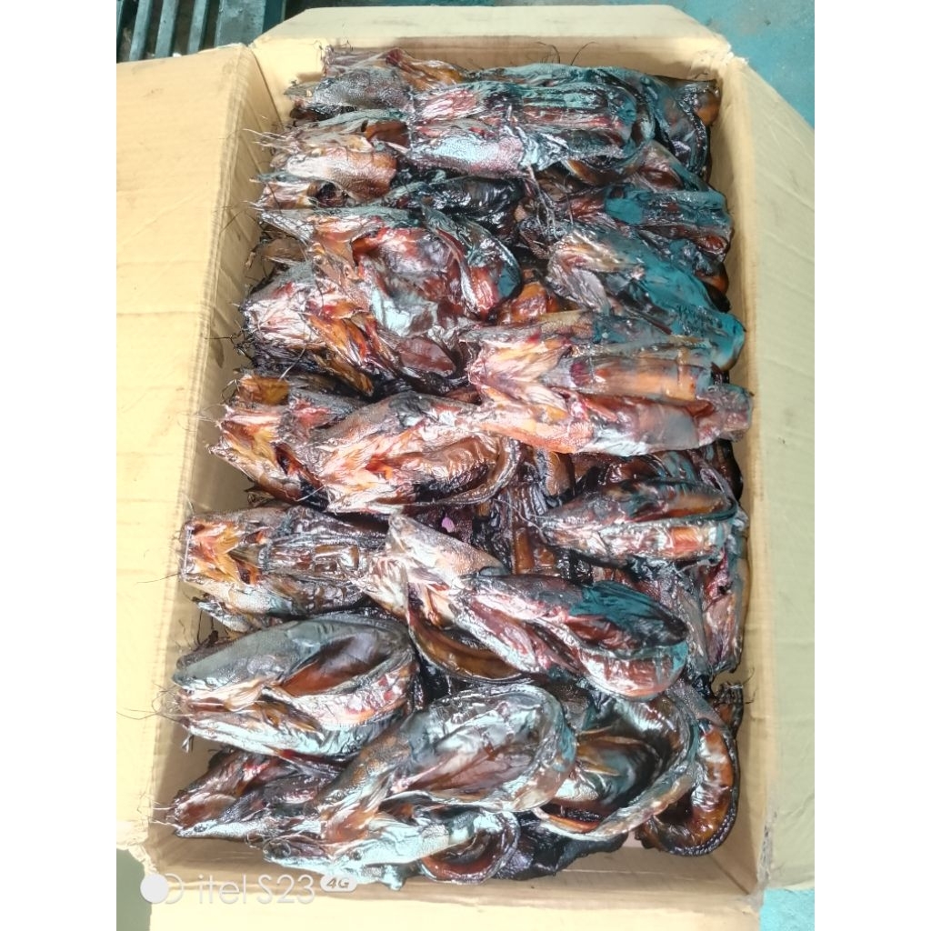

Lele sale/lele asap kering Berkualitas sumsel