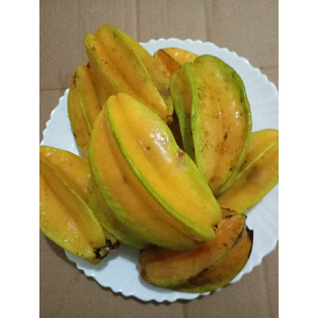 

BUAH BELIMBING BLIMBING MANIS SEGAR