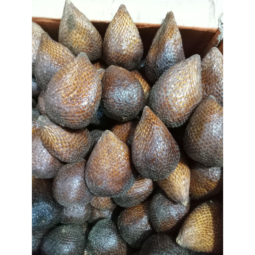 

salak pondok 1kg sedang