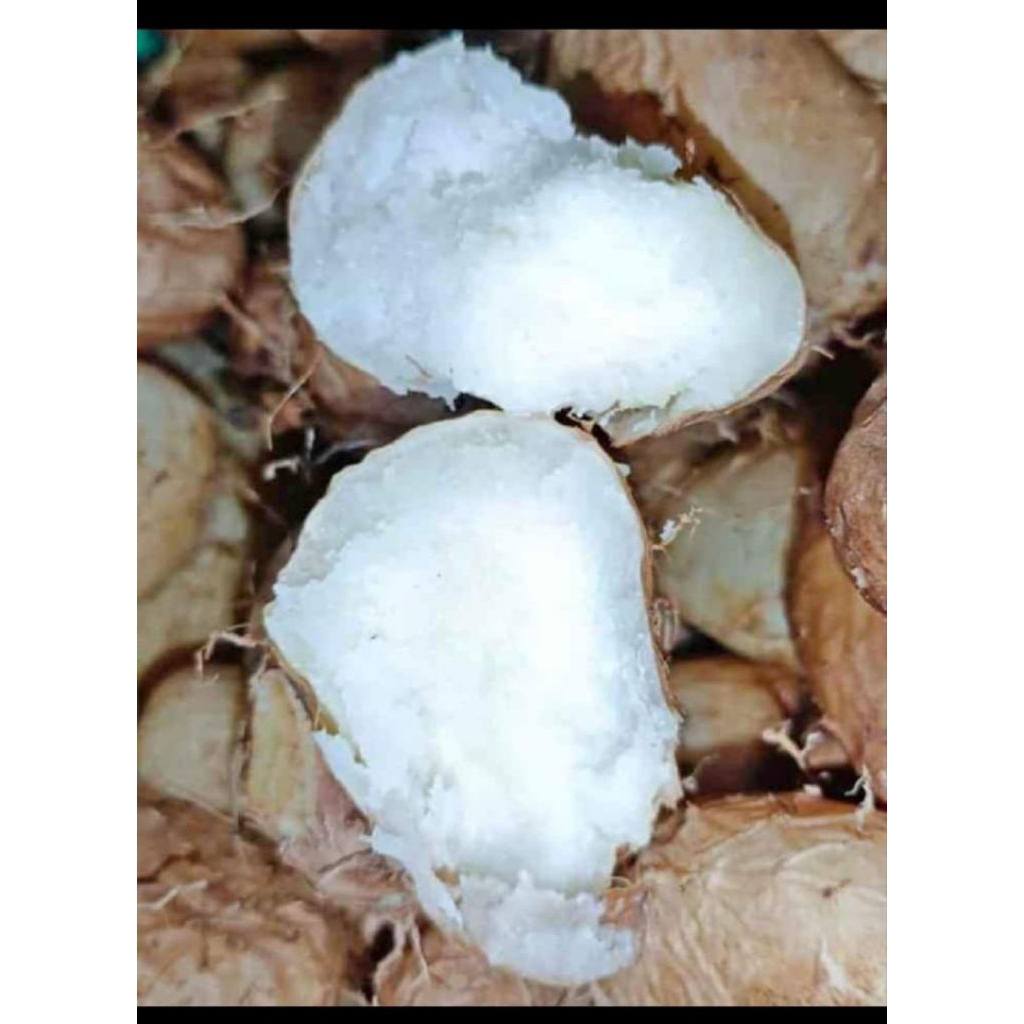 GEMBILI 1KG