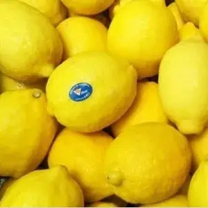 

JERUK LEMON IMPORT ASLI 300 Gram