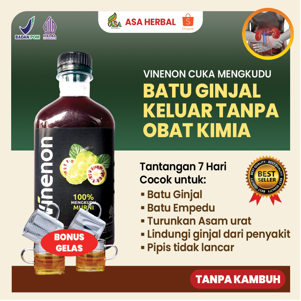 

VINENON Cuka Mengkudu Hancurkan Batu Ginjal sampai Tuntas Tanpa Bekas | Solusi Asam Urat & ISK BPOM