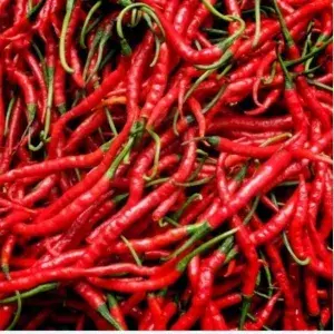 

CABE KERITING MERAH 100G