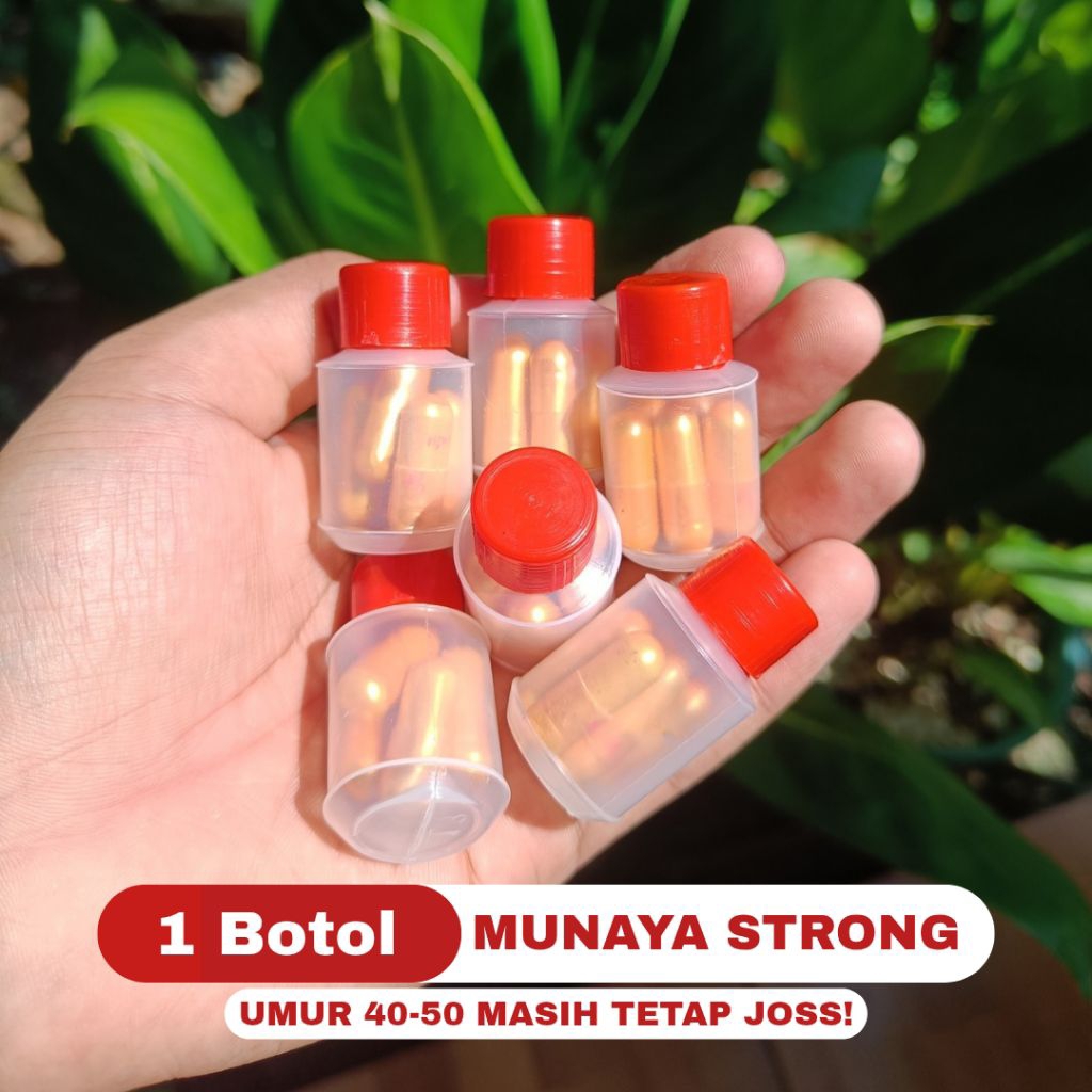 

Kapsul Pria Terlaris | Untuk Bangunkan Pak Aji