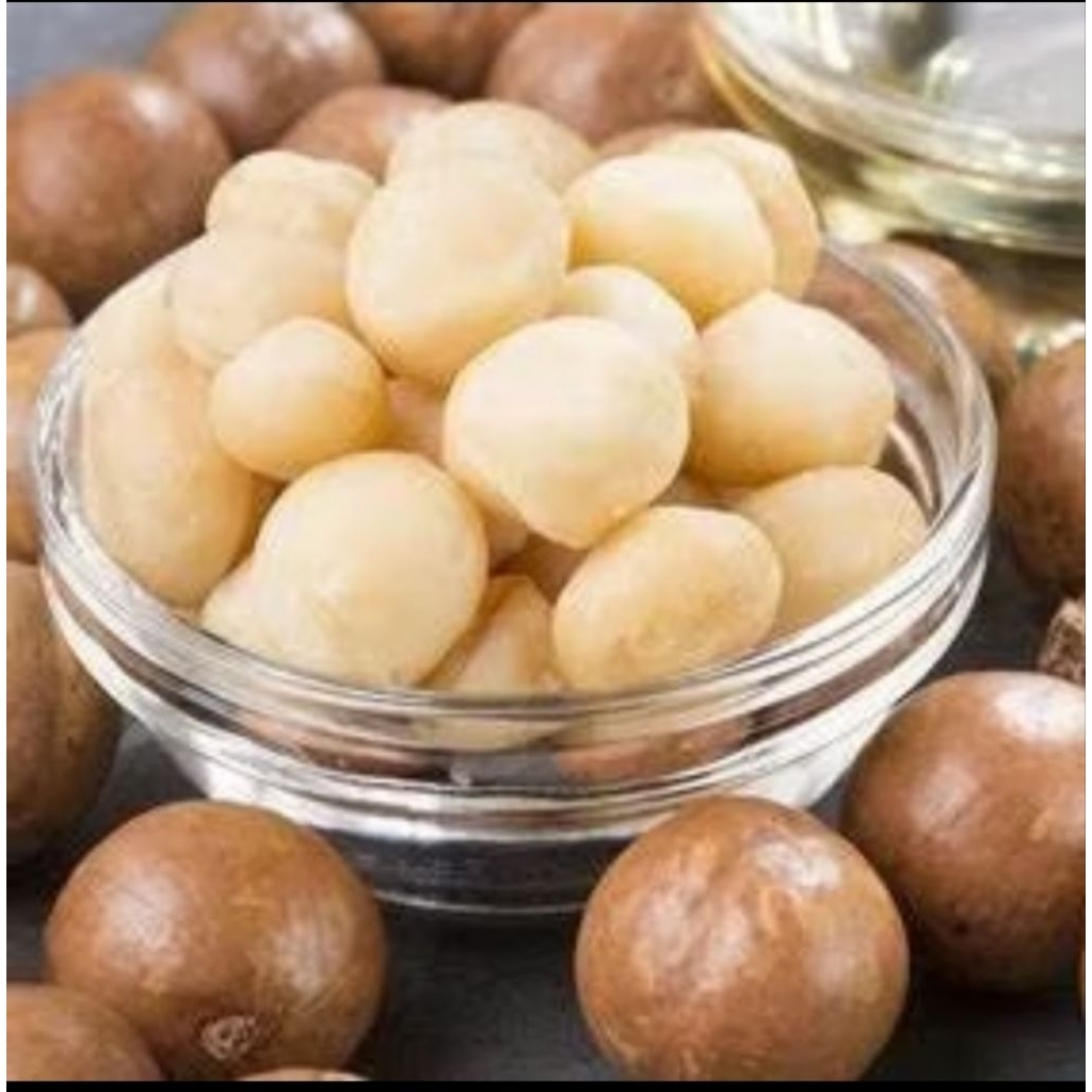 

Macadamia Raw Repack/Kacang Macadamia Kupas Mentah 50gr