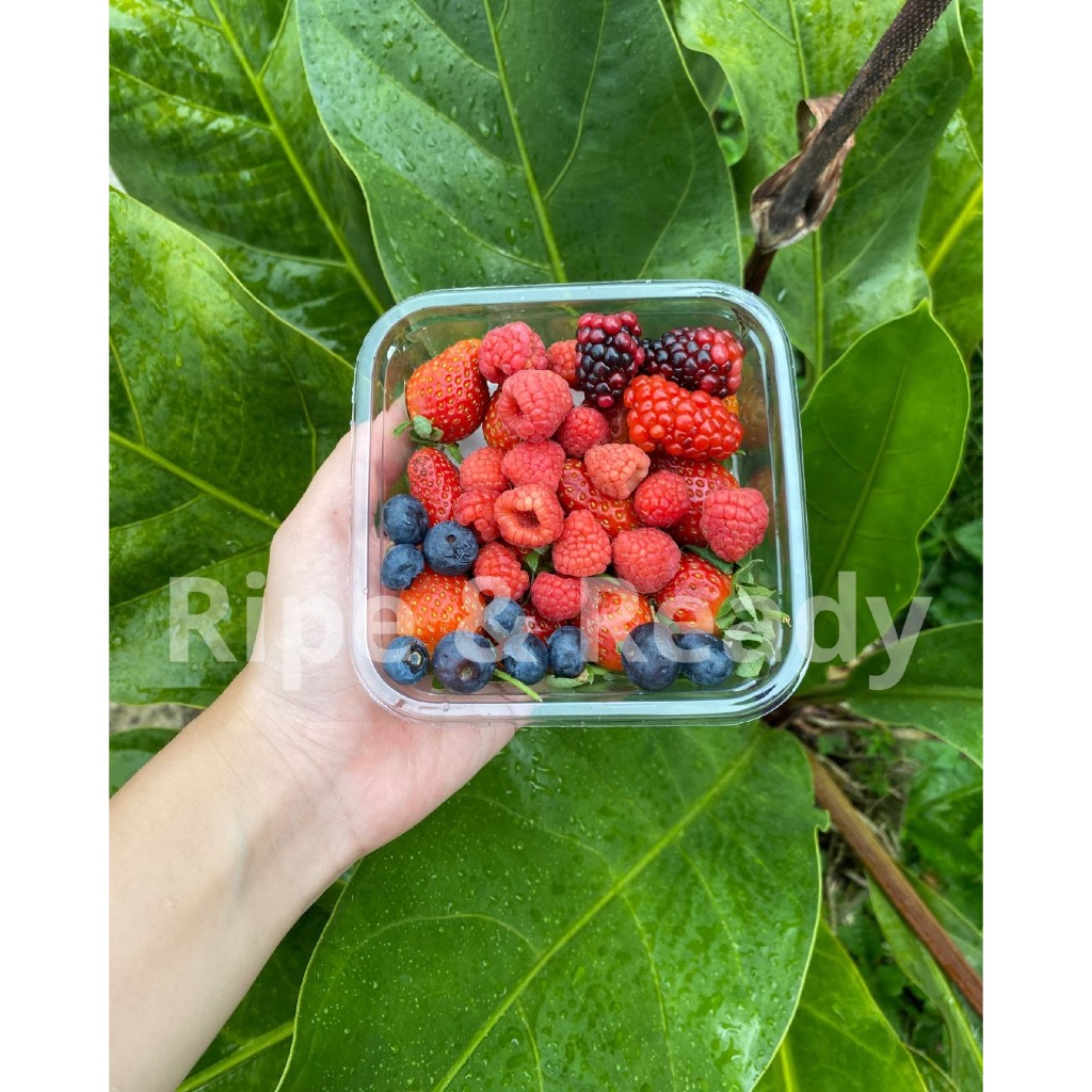 

Mix Berry Lokal fresh 200gr