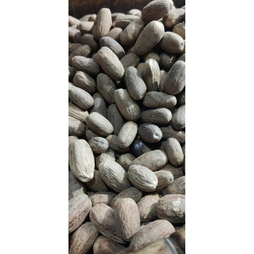 

BIJI PALA LONJONG/BIJI PALA PANJANG/NUTMEG SEED/BUMBU MASAK/REMPAH REMPAH