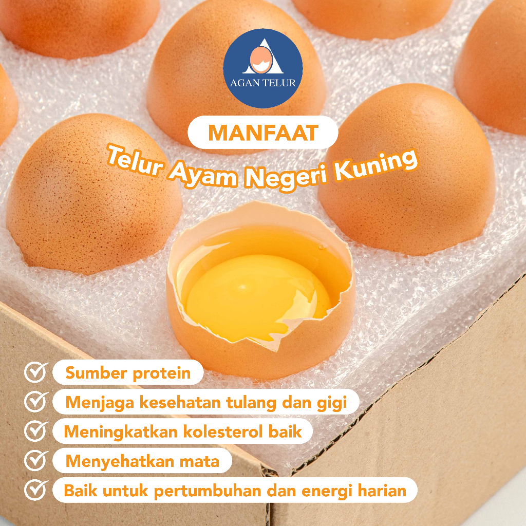 

Telur Ayam Negeri Fresh Dan Termurah Per Kg (15-16 Btr)