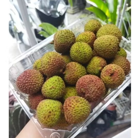 

Leci Madu 1kg