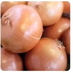 

BAWANG BOMBAY 250 GRAM