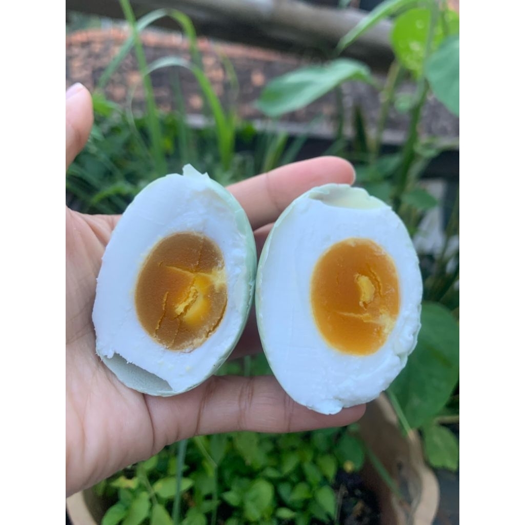 

TELOR ASIN MASIR MATANG UKURAN BK(KECIL)