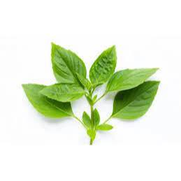 

Daun kemangi 250gr