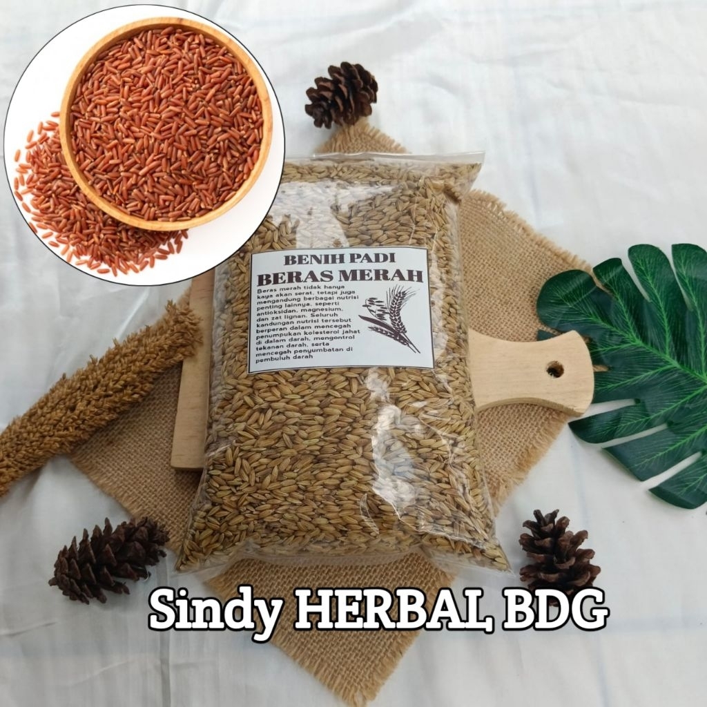 Benih Padi Merah Super Unggul Isi 500 Gram