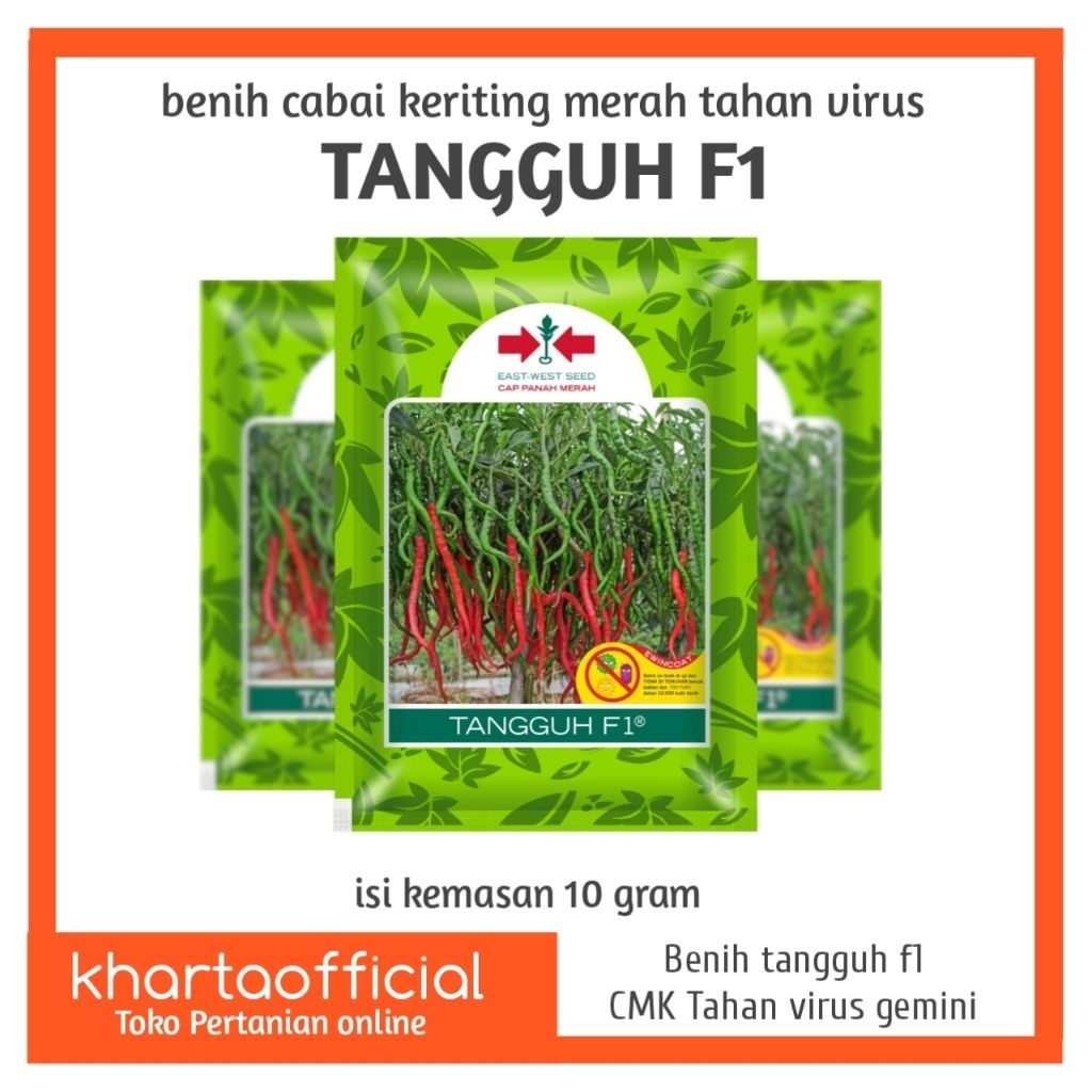 Benih Cabai Keriting Merah TANGGUH F1: Tahan virus, hasil panen melimpah