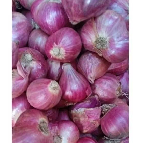 

Bawang Merah Brebes 1kg – Promo Hemat, Cocok untuk Masakan